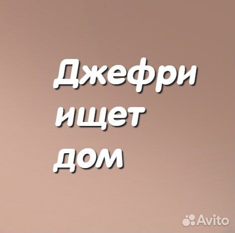 Смышлённый Джефри
