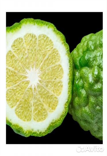 Yodeyma Парфюмированная вода velfashion