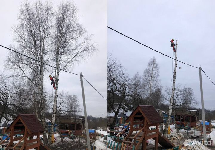 Обрезка Спил Удаление деревьев любой сложности