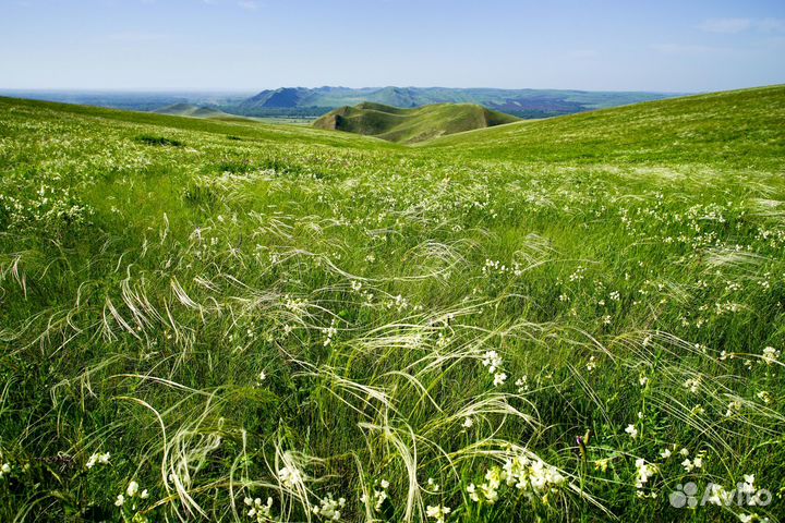 Хребет карамурун-тау - спящий дракон оренбуржья