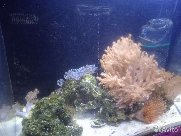 Аквариум 70 литров