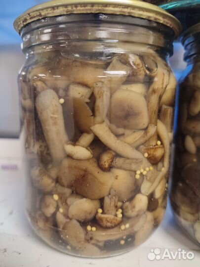 Грибы грузди, опята