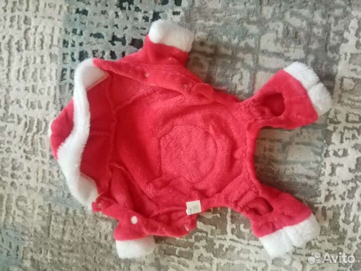 Одежда для животных