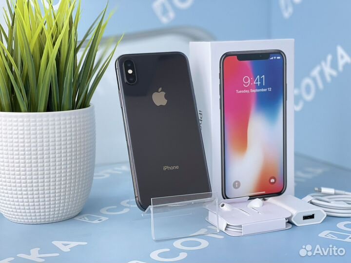 iPhone X, 256 ГБ