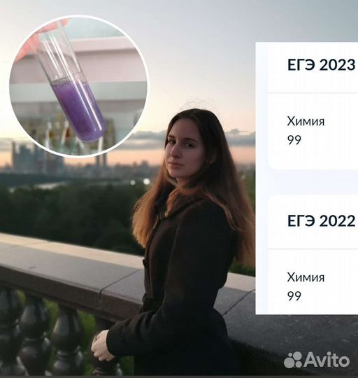 Репетитор по химии огэ / егэ