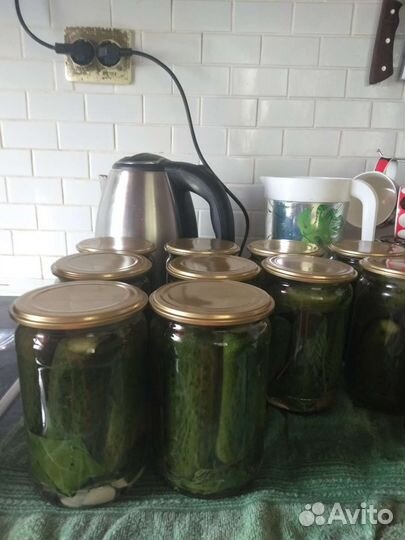 Огурцы маринованные домашние