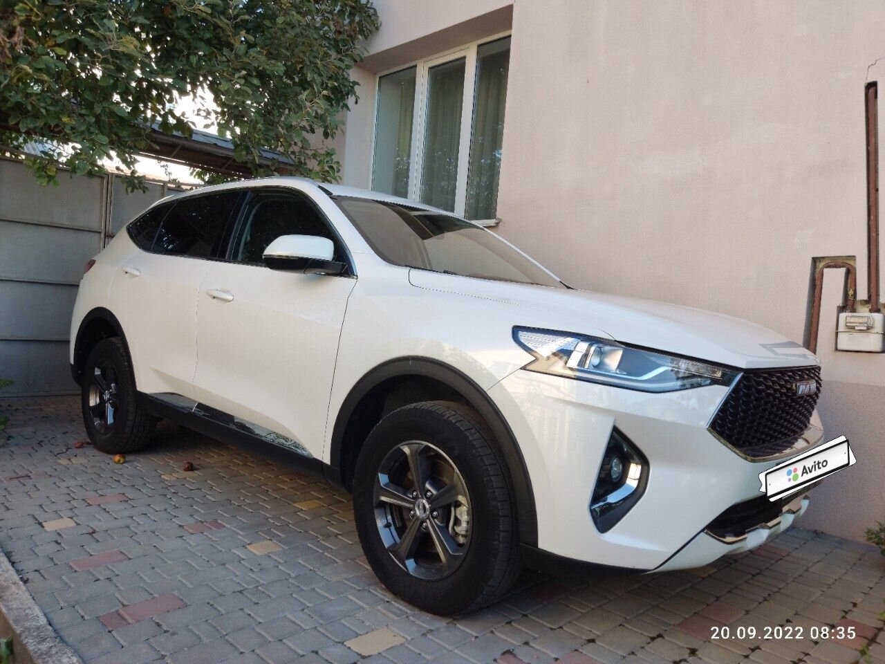 HAVAL F7: фото владельца