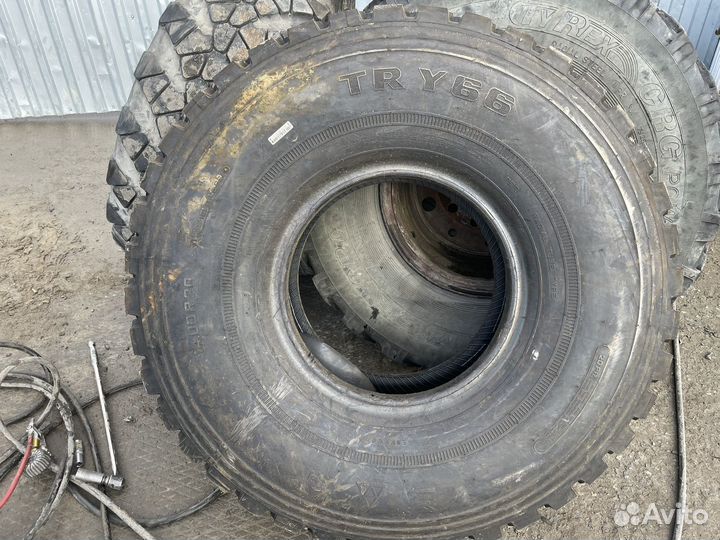 Резина Triangle TR Y66