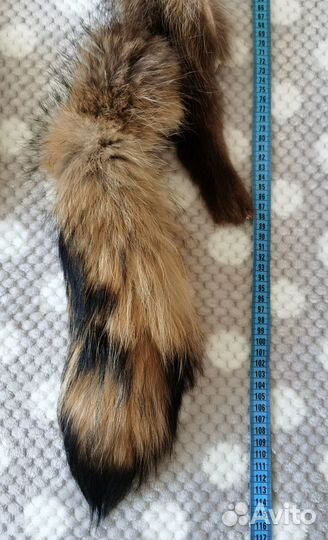 Мех енота шкура