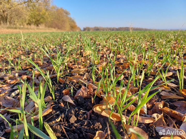 Готовый бизнес и оборудование