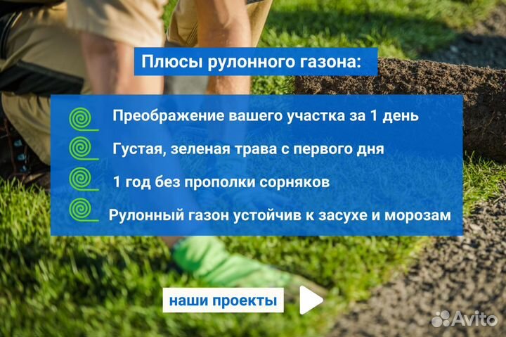 Рулонный газон. 100% приживаемость. С укладкой