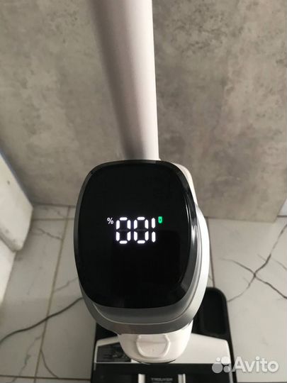 Моющий пылесос