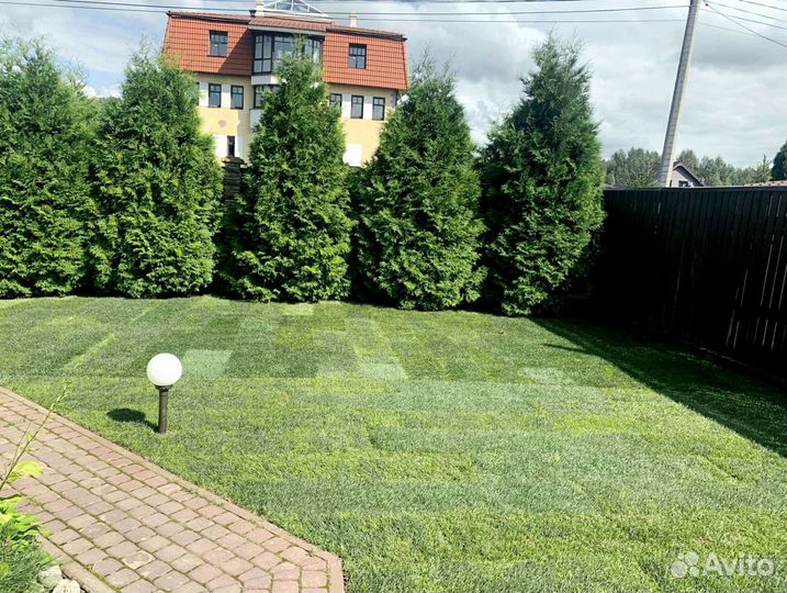 Рулонный газон от производителя