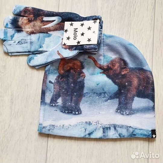 Новая шапка Molo