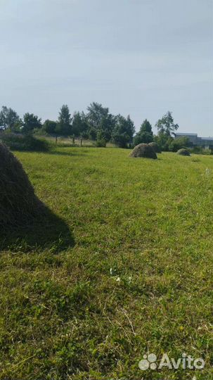 Продам сено готовый