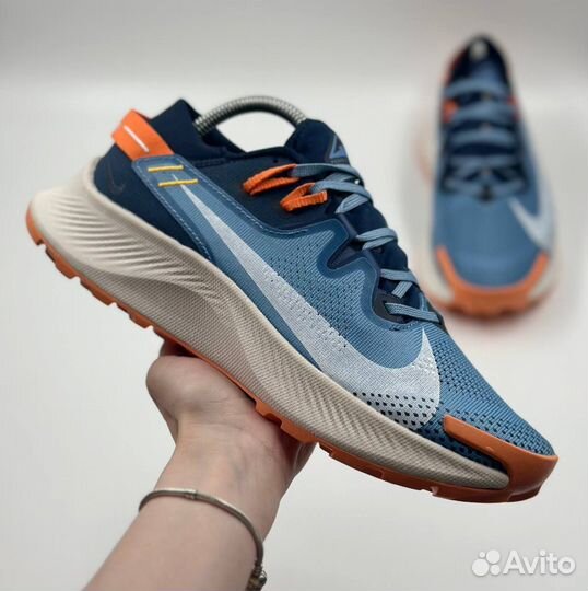 Кроссовки Nike Pegasus Trail 2 мужские g-7953