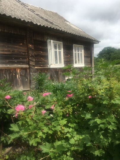 Дом 41,9 м² на участке 52 сот.