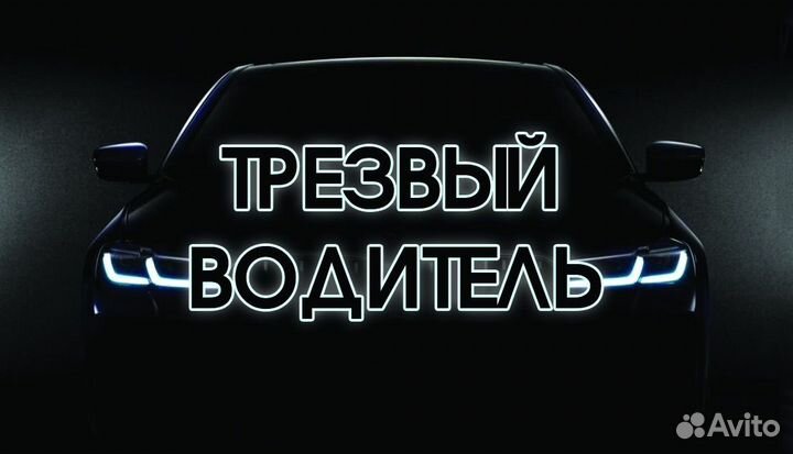 Трезвый водитель