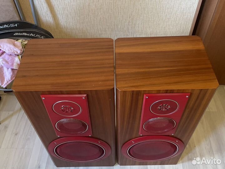 Колонки Нева 200 ас-003