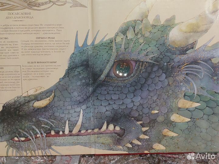 Драконоведение махаон