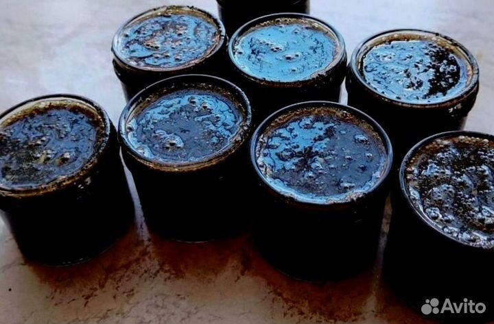 Природный мужской энергетик