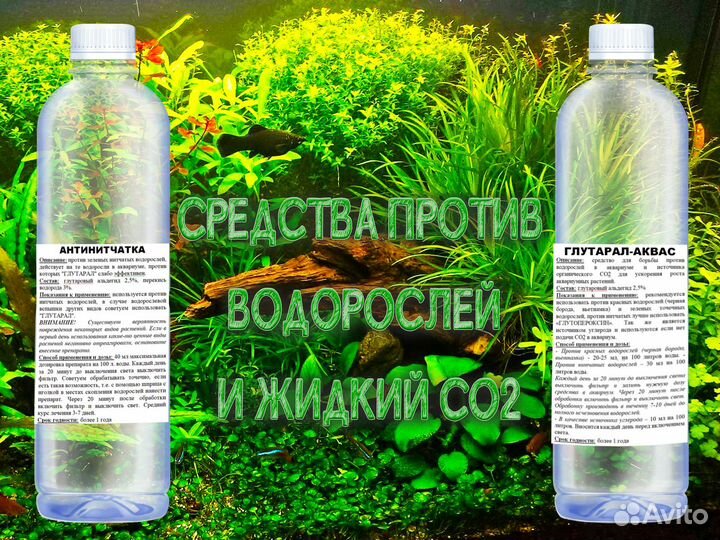 Средства против водорослей и жидкий CO2