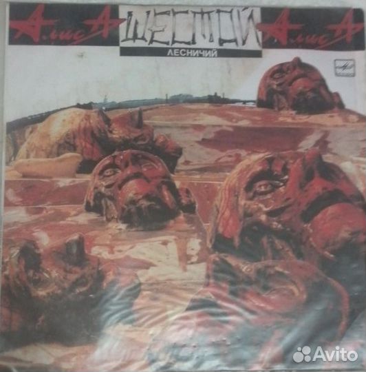 Алиса шестой Лесничий