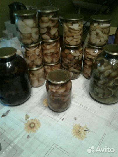 Грибы, соления