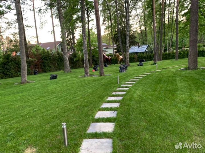 Рулонный газон 