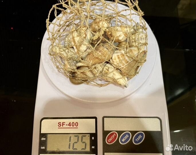 Ракушки морские и камушки