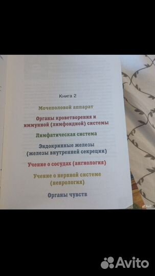 Учебник Анатомии Сапин и Билич