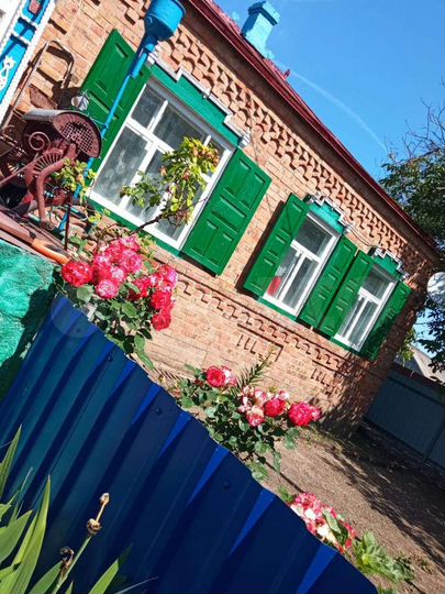 Дом 53 м² на участке 55 сот.