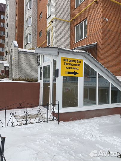 Уничтожение клопов тараканов муравьев блох клещей