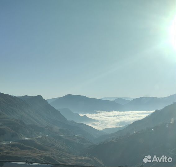 Аренда авто с водителем