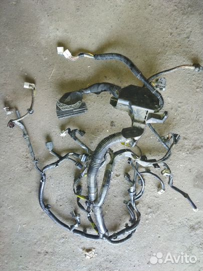 Электропроводка двигателя Mazda 3 Bm 1.5 120 2013