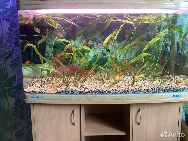 Продам аквариум jebo R3100