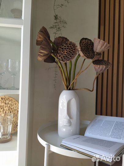 Лотосы сухоцветы