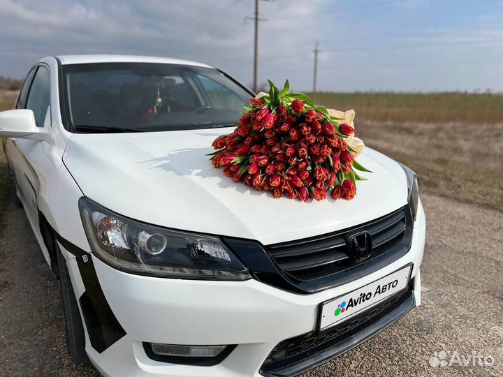Honda Accord 2.4 AT, 2013, 155 555 км