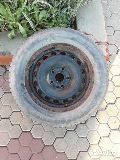 Continental Conti.eContact 195/65 R15 91
