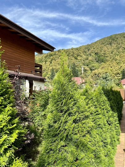 Коттедж 250 м² на участке 5 сот.