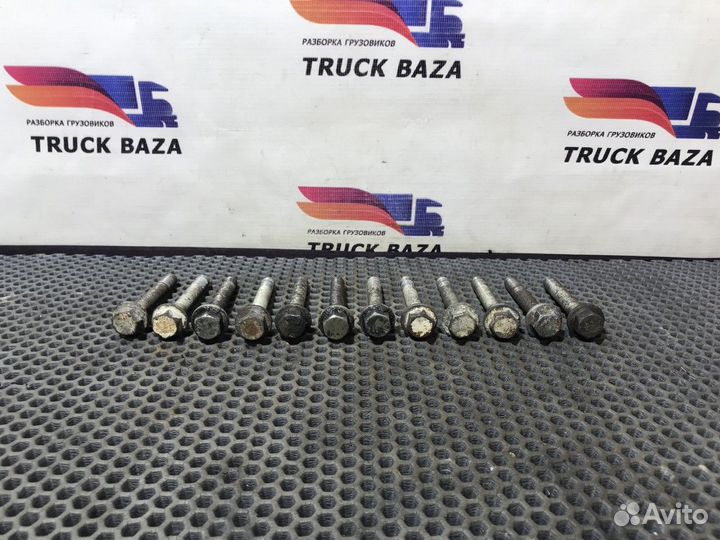 1243069 Комплект болтов кожуха маховика Daf XF105