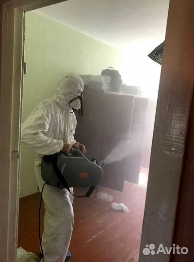 Уничтожение клопов и тараканов дезинфекция