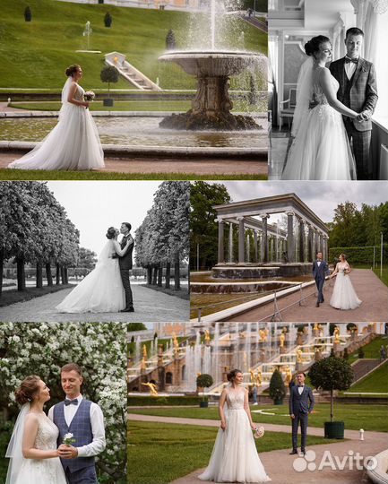 Фотограф Петергоф, Санкт-Петербург, Ломоносов