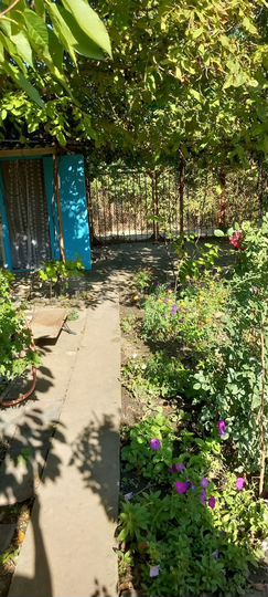 Дача 13,5 м² на участке 5 сот.