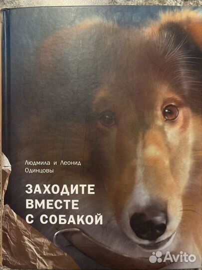 Одинцовы Заходите вместе с собакой