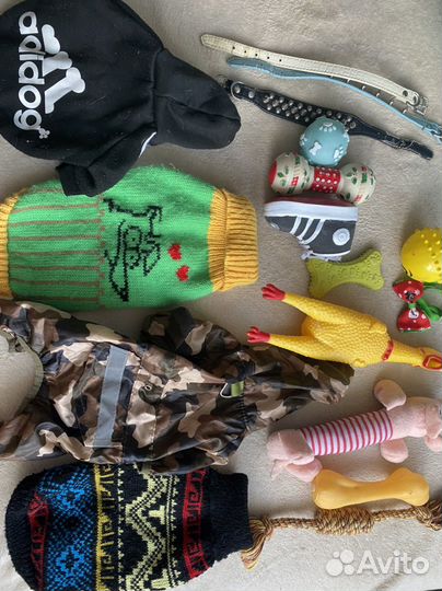 Одежда и игрушки собаке