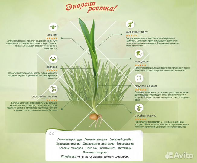 Витграсс, зеленый фреш из ростков пшеницы