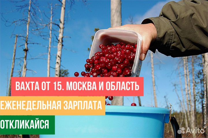Фасовщик/Упаковщик / клюквы москва мо Вахта Всё вк