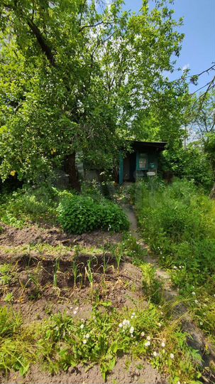 Дача 30 м² на участке 3 сот.