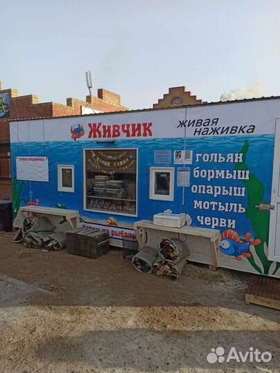 Мотыль для рыбалки